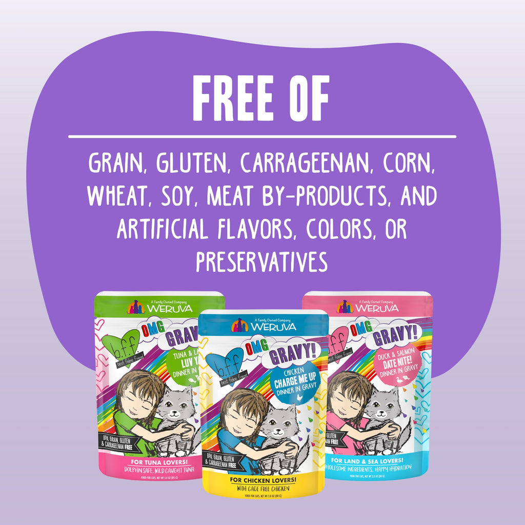 Weruva B.F.F. OMG - Best Feline Friend Oh My Gravy!, Rainbow A Gogo Variety Pack! Cat Food, 3oz Pouch (Pack of 12)
