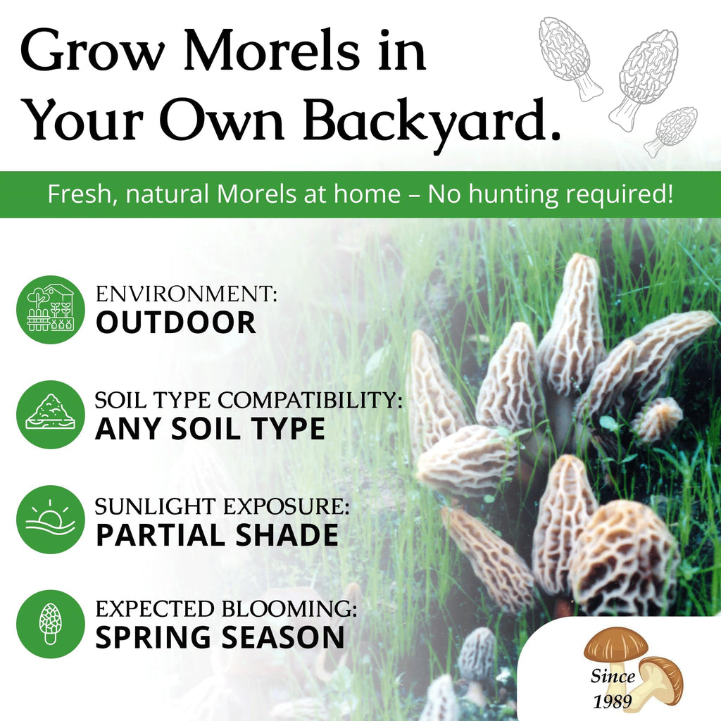 MOREL HABITAT KIT® Morel Mushroom Growing Kit (Morchella)