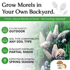 MOREL HABITAT KIT® Morel Mushroom Growing Kit (Morchella)
