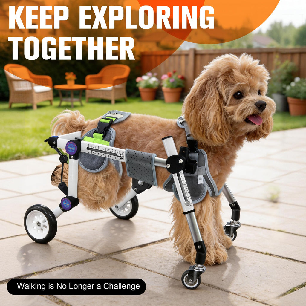 LetPetRun Dog Wheelchair 4 Wheels Adjustable, Full Body Support Dog Cart for Front & Rear Legs, Lightweight Mobility Aid for Disabled Small Dogs (XS for 11-18lbs)