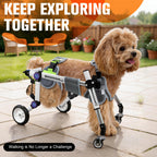 LetPetRun Dog Wheelchair 4 Wheels Adjustable, Full Body Support Dog Cart for Front & Rear Legs, Lightweight Mobility Aid for Disabled Small Dogs (XS for 11-18lbs)