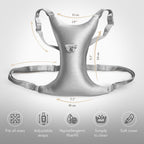 Intimia Breast Pillow for Chest Wrinkles and Side Sleeping - Chest Pillow for Wrinkle Prevention and Breast Support (Silver)