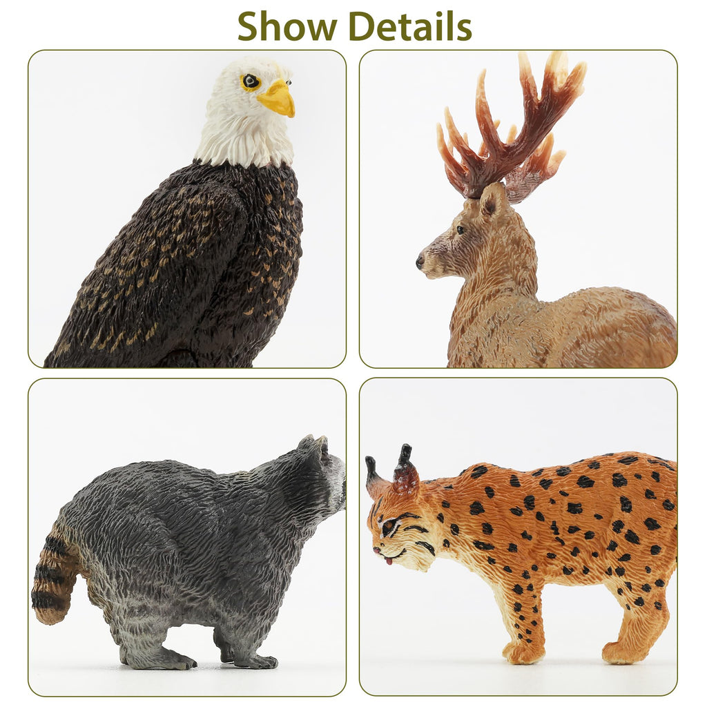 Toymany 12PCS Realistic North American Forest Animal Figurines Jungle Zoo