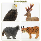 Toymany 12PCS Realistic North American Forest Animal Figurines Jungle Zoo