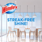 Windex Wipes Glass Cleaning, Pre-Moistened Glass and Surface Wipes to Clean Home Surfaces, Household Essentials, Original Scent, 38 Count (Pack of 12)