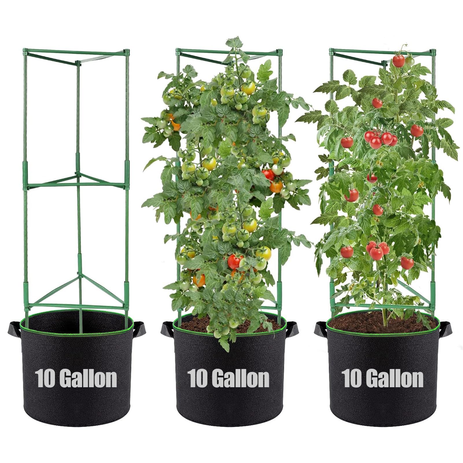 ANPHSIN Sturdy Triangle Tomato Cage with Movable 10 Gal Grow Bags, 3 Sets
