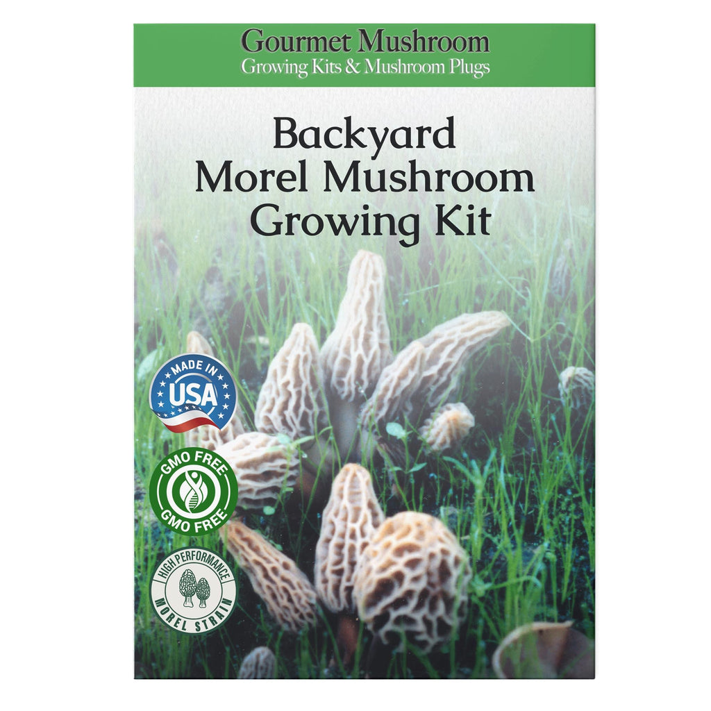 MOREL HABITAT KIT® Morel Mushroom Growing Kit (Morchella)