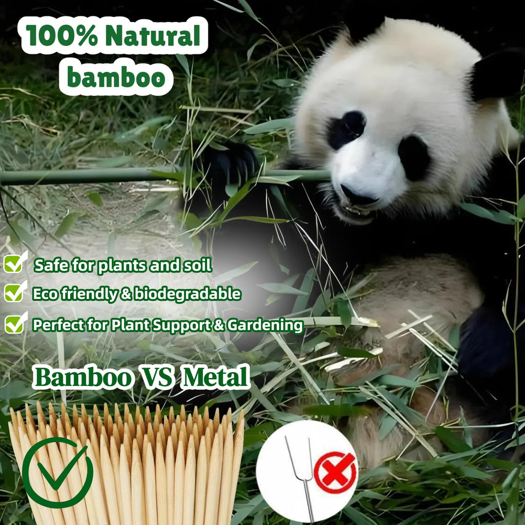 Vesyman 100 PCS 3FT Bamboo Plant Stakes, 6.3mm Thick Bamboo Stakes