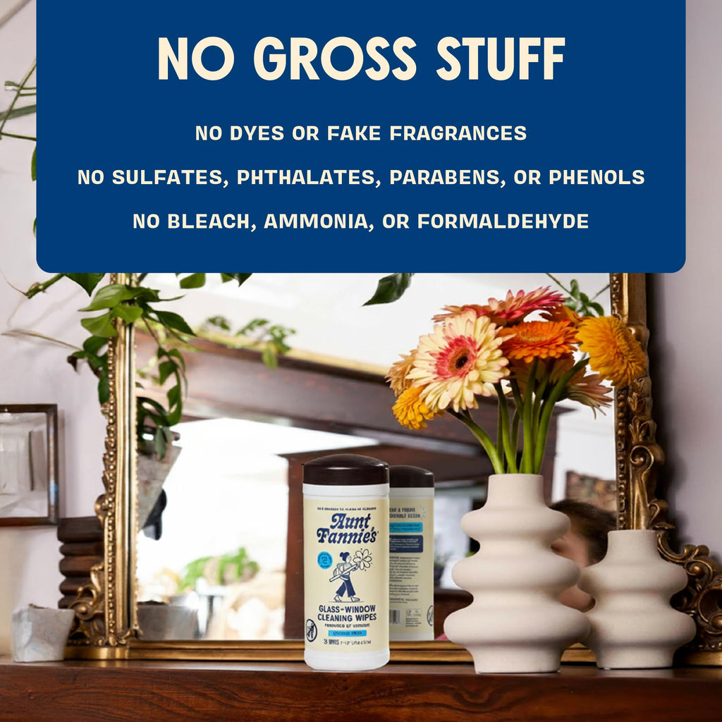 Aunt Fannie's Glass & Window Cleaning Wipes, Natural Streak-Free Glass Cleaner, 35 Count (Pack of 6)