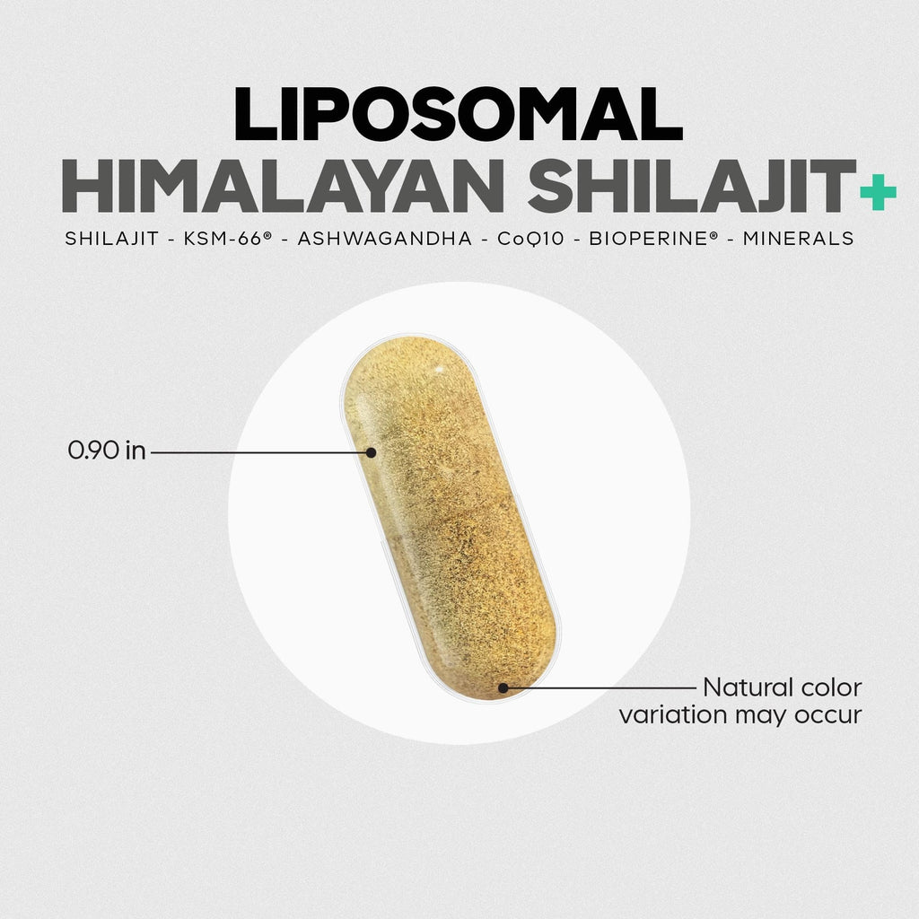 Codeage Liposomal Himalayan Shilajit+ Supplement - 500 mg Shilajit, KSM-66 Ashwagandha, CoQ10, Fulvic Ionic Minerals, Calcium, Magnesium, BioPerine - Liposomal Delivery - Non-GMO - 60 Capsules