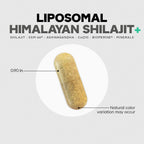 Codeage Liposomal Himalayan Shilajit+ Supplement - 500 mg Shilajit, KSM-66 Ashwagandha, CoQ10, Fulvic Ionic Minerals, Calcium, Magnesium, BioPerine - Liposomal Delivery - Non-GMO - 60 Capsules