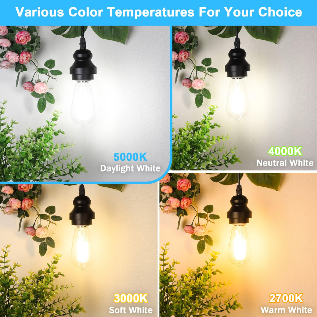 ASOMST 10-Pack Vintage Edison Bulbs 60W Equivalent, 850LM 6W LED Light Bulb Daylight White 5000K, ST58 Filament Lighting E26 Base, Non-Dimmable