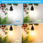 ASOMST 10-Pack Vintage Edison Bulbs 60W Equivalent, 850LM 6W LED Light Bulb Daylight White 5000K, ST58 Filament Lighting E26 Base, Non-Dimmable