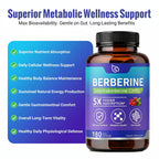 Strmuscle Dihydroberberine Supplement 200mg, Hight Absorption Berberine Supplement for Men & Women - Metabolic & Wellness Support, 180 Capsules