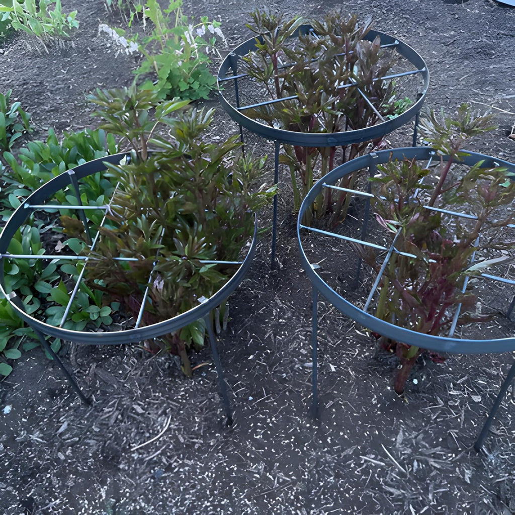 GOOOXIM 23.6" Peony Cages and Supports,Plant Support Ring for Hydrangea