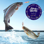 Lihome Fishing Advent Calendar 2026, 24-Day Fishing Lure Set, Gifts for Men