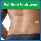 Salonpas Pain Relief Patch, 9 Count Large (Pack of 1), Up to 12 Hours Temporary Relief of Mild to Moderate Pain, Backache, Sore Muscle, Sprains, Bruises