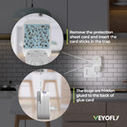 VEYOFLY Fruit Fly Traps for Indoors Official Refill, Gnat Trap Indoor Plug in, Bug Traps, Flying Insect Trap, Gnat Traps for House Indoor, Fly Trap Indoor for Home, Mosquito Catcher, Pack 10 Refills