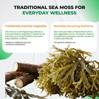 Ultra Herbs Sea Moss Capsules with Black Seed Oil, Ashwagandha, Vitamin D3 & C, 9-in-1 Immune & Overall Wellness Support*, 150 Capsules, Non-GMO, Gluten Free