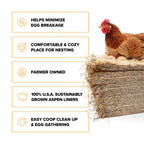 Eaton Pet and Pasture Nesting Pads for Laying Hens, 13 x 13 Inch, 10 Pack