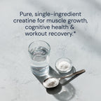 Blueprint Bryan Johnson Creatine Monohydrate Powder – Amino Acid Powder - Supplement Supports Muscle Growth, Recovery, Strength & Focus – Unflavored Creatine for Women & Men – 5g Dose – 100 Servings