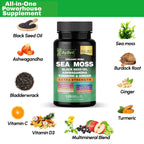 Organic Irish Sea Moss Capsules 120 Count –16 in 1 Sea Moss Supplement with Black Seed Oil, Ashwagandha, Turmeric & Ginger, Bladderwrack & Burdock Root, Vitamin D3 –Organic, Vegan, Halal, Non-GMO