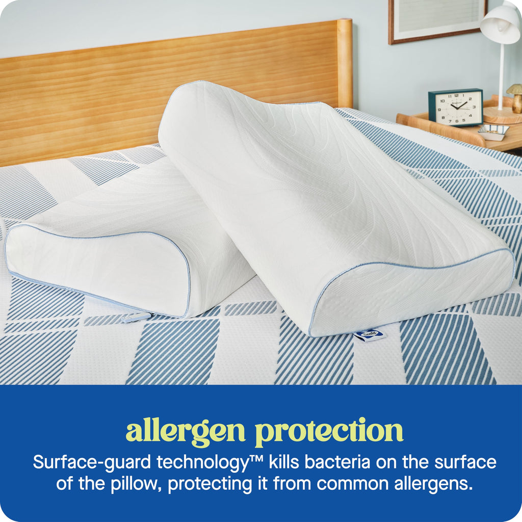 SEALY Dreamlife Standard Size Contour Memory Foam Pillow with Surface Guard Technology, Removable Machine-Washable Cover, 1 Year Limited Warranty