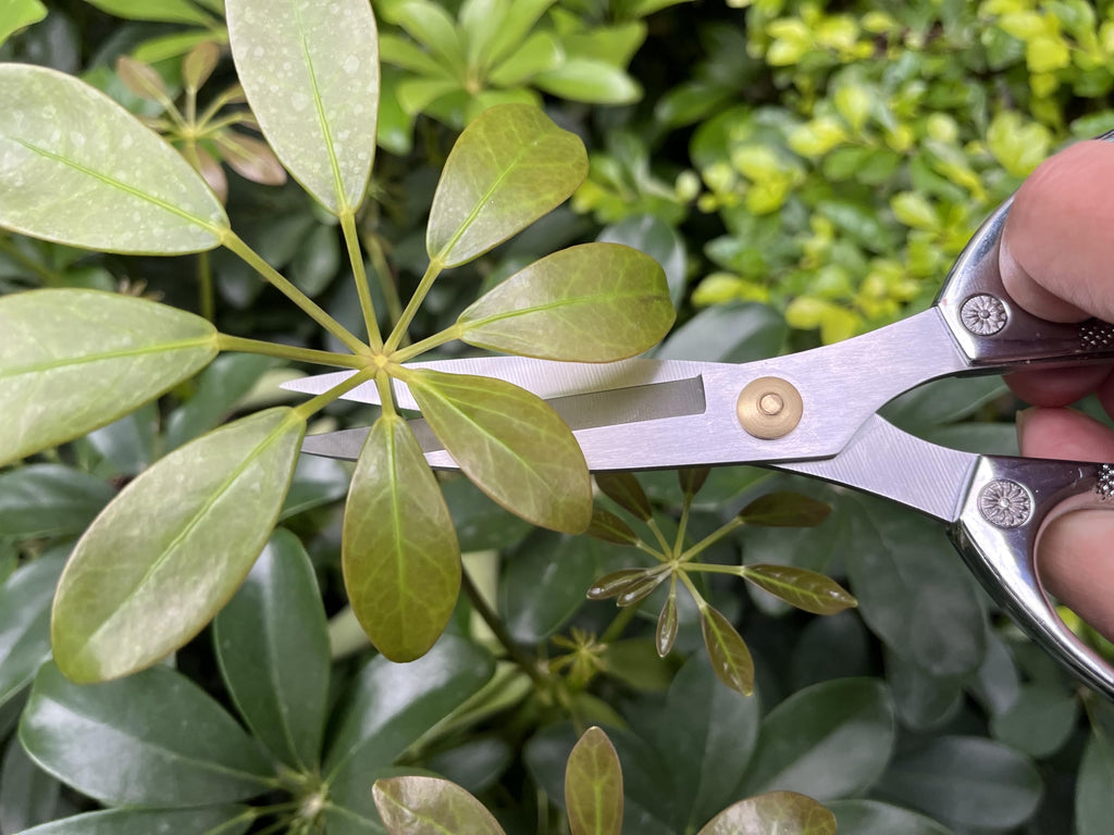 Horsvill Indoor Plant Shears Garden Scissors, Flower Pruners Made of Japan SK5 Stainless Steel, Flowers Herbs and Plant Cutters, Clippers, Trimmers, Loppers, Bonsai Potted Plant Pruning Scissors