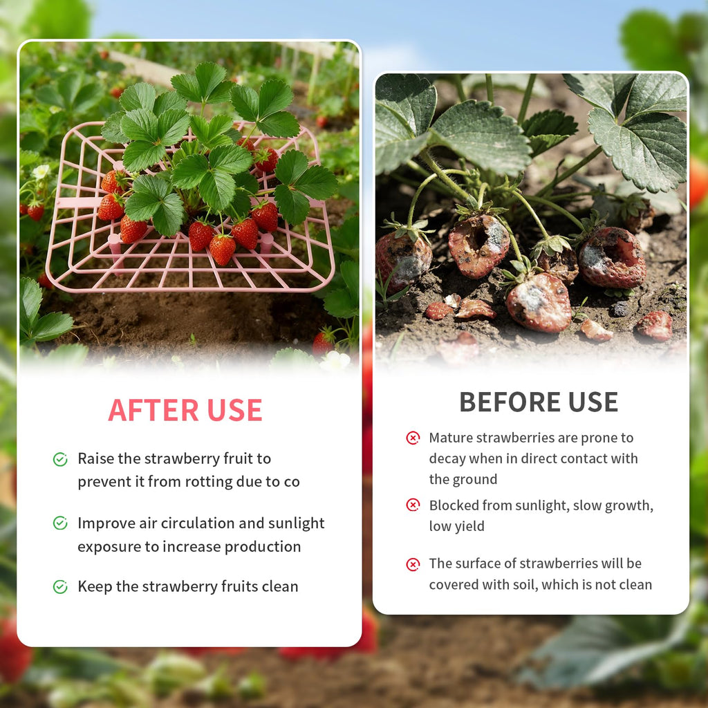 12 Pcs Garden Strawberry Supports Racks Strawberry Stand for Garden