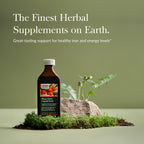 Gaia Herbs Plant Force Liquid Iron - Vegetarian Iron Supplement to Help Maintain Healthy Iron & Energy Levels - with Star Anise, Sea Buckthorn, Beet Root, Dandelion & Nettle - 8.5 Fl Oz (25 Servings)