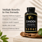 Cocó March N.M.D Candida Cleanse – 30 Day Herbal Detox Cleansing with Digestive Enzymes for Gut Health & Immune Support – Gluten Free, Vegan, Non-GMO, Dairy Free, Soy Free – 120 Veggie Caps