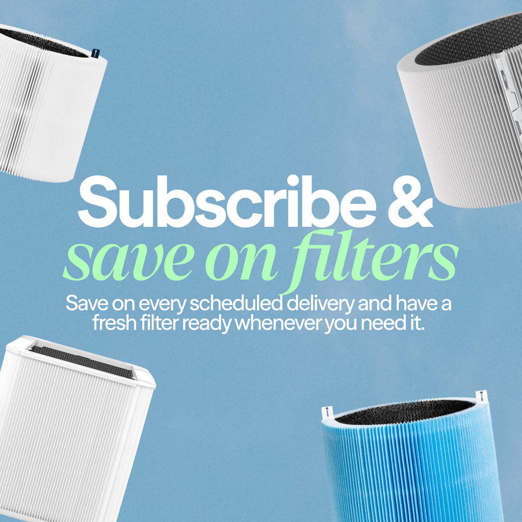 BLUEAIR Genuine 411 Series Air Purifier Replacement Filter, Everyday