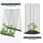 Amoskey Cucumber Trellis, Garden Trellis for Climbing Plants Outdoor, Foldable A-Frame Trellis, Cucumber Trellis for Raised Bed for Cucumbers, Peas, or Tomatoes (Green, Small Grid 48‘’H*34''W)