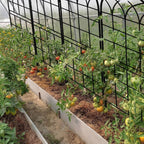 LZRS 71 x 80in Rustic Iron Arch Decoration Garden Trellis with Black Metal Coating – Perfect for Supporting Climbing Plants Outdoor, Roses, Vines, Flowers, and Vegetables.