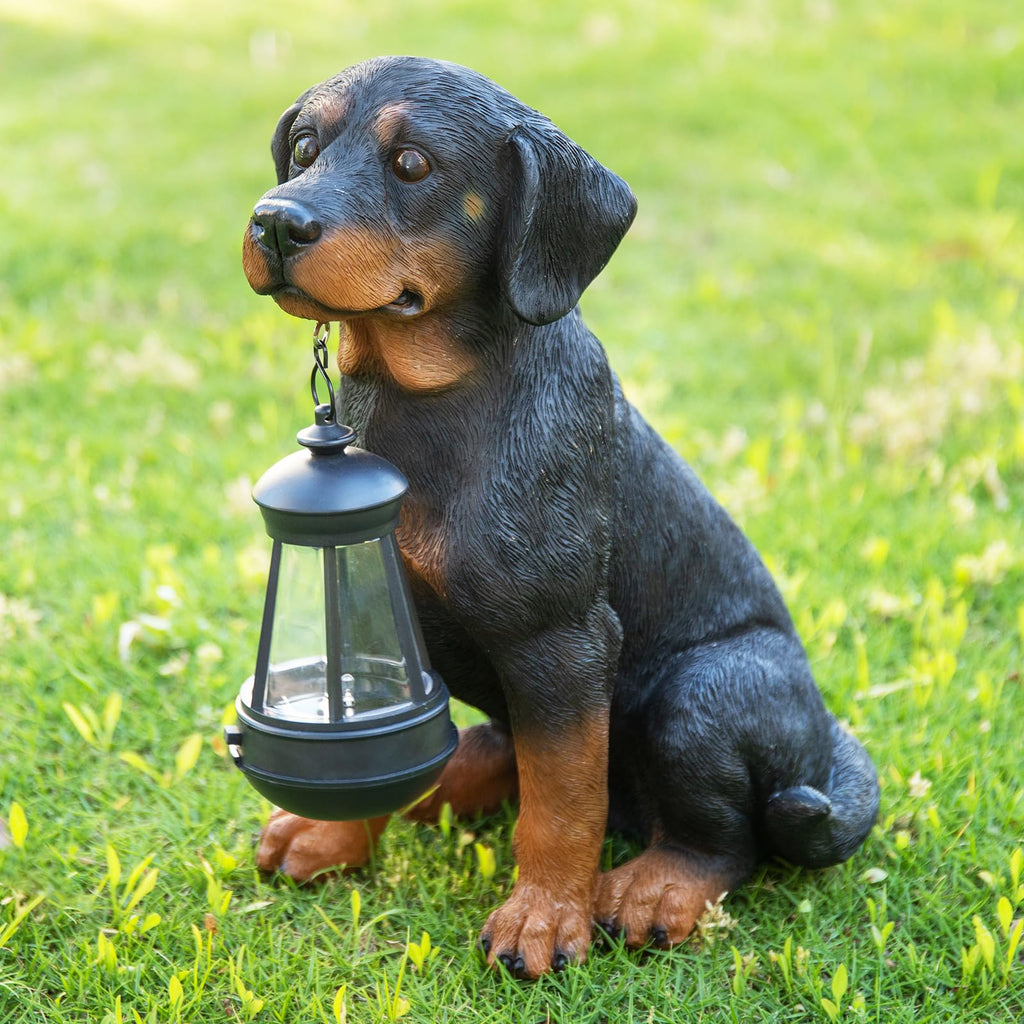 Dog Garden Statue, Rottweiler Solar Statue Holding Lantern,Rottweiler Gifts