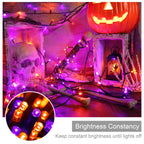 weillsnow 500 LED Halloween Lights Outdoor,164 FT Twinkle Lights Waterproof