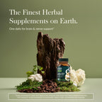 Gaia Herbs Lion's Mane Mushroom - Brain & Nerve Health Support* - 40 Vegan Capsules (40 Servings)