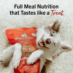 Stella & Chewy's Freeze-Dried Raw Dinner Patties - Beef Recipe - High Protein Grain-Free Puppy & Dog Food - Perfect For Picky Eaters - 25 oz