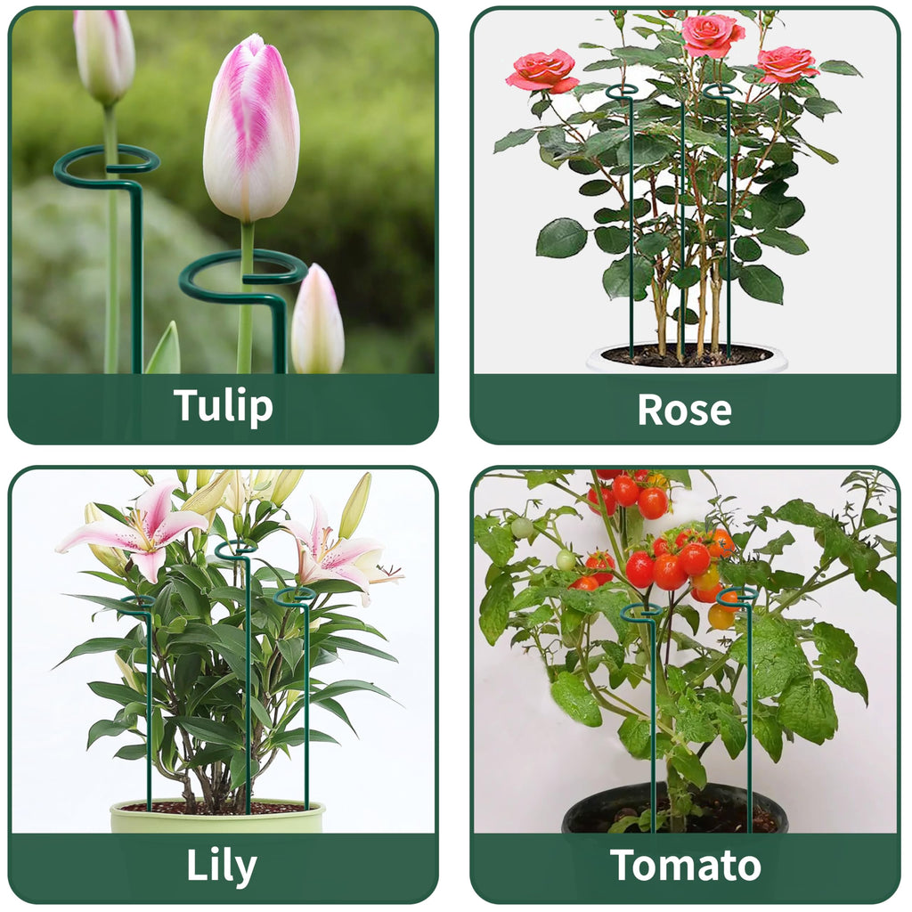 36” Tall Plant Stakes, 6 Pack Plant Support Stakes,6mm Heavy-Duty Metal Garden Stakes, Flower Stakes for Lilies, Dahlias, Gladiolus, Sunflowers, Tomato, Clematis