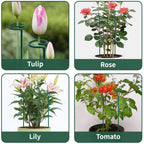 36” Tall Plant Stakes, 6 Pack Plant Support Stakes,6mm Heavy-Duty Metal Garden Stakes, Flower Stakes for Lilies, Dahlias, Gladiolus, Sunflowers, Tomato, Clematis