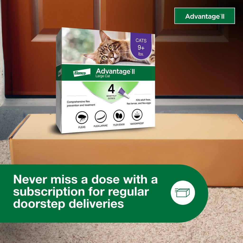Advantage II Large Cat Topical Flea Treatment & Prevention, 4ct