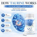 Liposomal Taurine Supplement 3000mg, Taurine Capsules Free-Form for Cellular* Energy*, Muscle* Function, Recovery* & Focus, Hydration, Electrolyte Balance, Vegan, 240 Capsules (60 Day Supply)