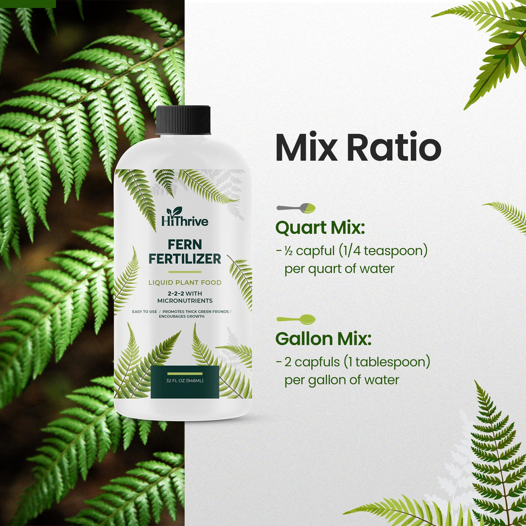 32oz Fern Fertilizer - Makes 64 Gallons of Fertilizer for Ferns, Nutrient-Rich Indoor Plant Food for Greener Growth and Dense, Resilient Fronds with Intricate Texture - Ideal for All Fern Plant Live