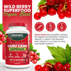 Greens+ SuperFruit Supplement, Amazon Camu Berry with Vitamins & Minerals, High ORAC Antioxidants, 400mg Natural Vitamin C, 120 Veggie Capsules