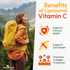 ForestLeaf Liposomal Vitamin C 1400mg Capsules | High Dose Vitamin C Liposomal Supplement w Coconut Oil Fatty Acids | Fast Absorption | Immune Support, Antioxidant, Collagen Production | 240 Vegan Cap