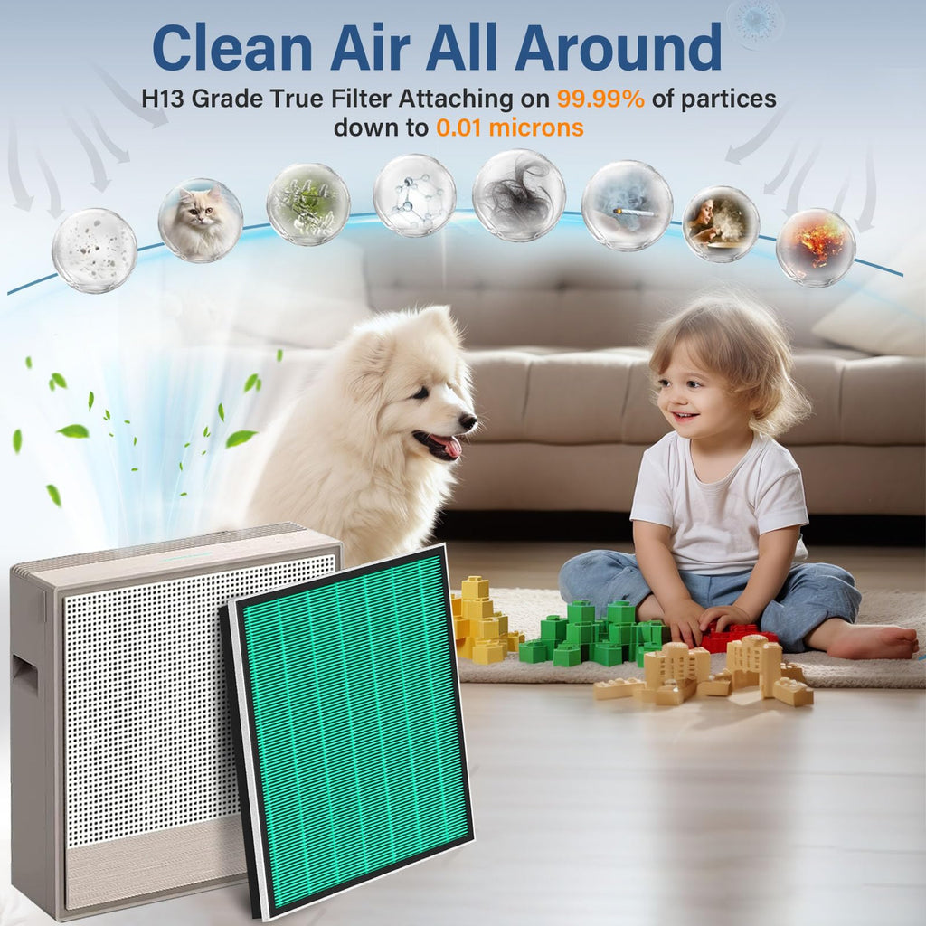 2 Set 250/250S Replacement Filter Compatible with Coway AIRMEGA Max2 250 250S, Max 2 Green Filter and Activated Carbon Filter Set, AP-1720-FP