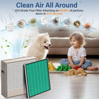 2 Set 250/250S Replacement Filter Compatible with Coway AIRMEGA Max2 250 250S, Max 2 Green Filter and Activated Carbon Filter Set, AP-1720-FP