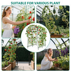 Metal Garden Arch Trellis, 7.6Ft Black for Raised Beds, Plant Support for Cucumbers & Climbing Vegetables with 9 Horizontal Pipe