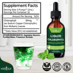NEW AGE Chlorophyll Liquid Drops - Natural Concentrate – Energy Booster, Digestion and Immune System Supports, Internal Deodorant, Liver Function - (2 Fl Oz (Pack of 4))