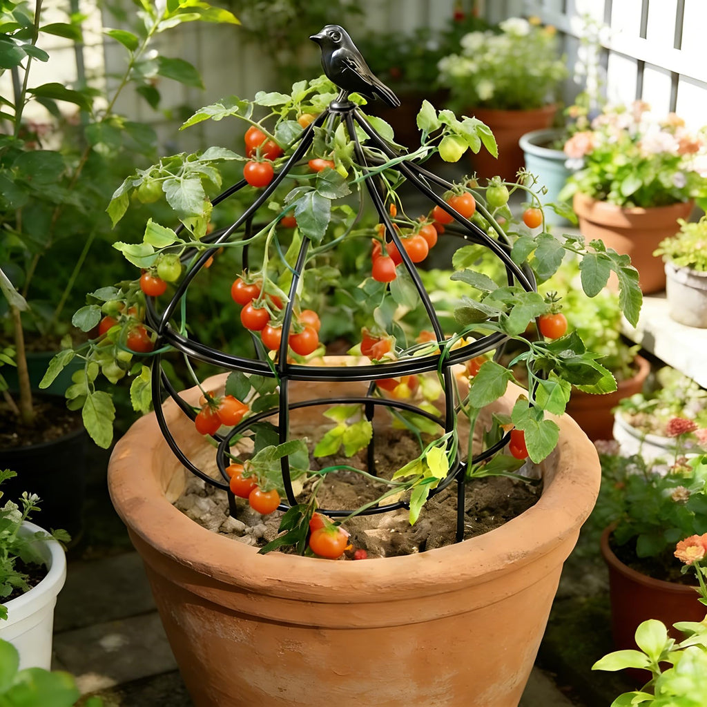aboxoo Sturdy Metal Garden Obelisk Trellis, 11.5"x11.5"x18" Plant Support